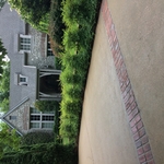 Roof cleaning