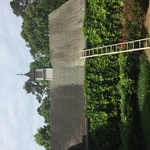Roof cleaning