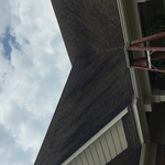 Roof cleaning