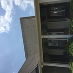 Roof cleaning