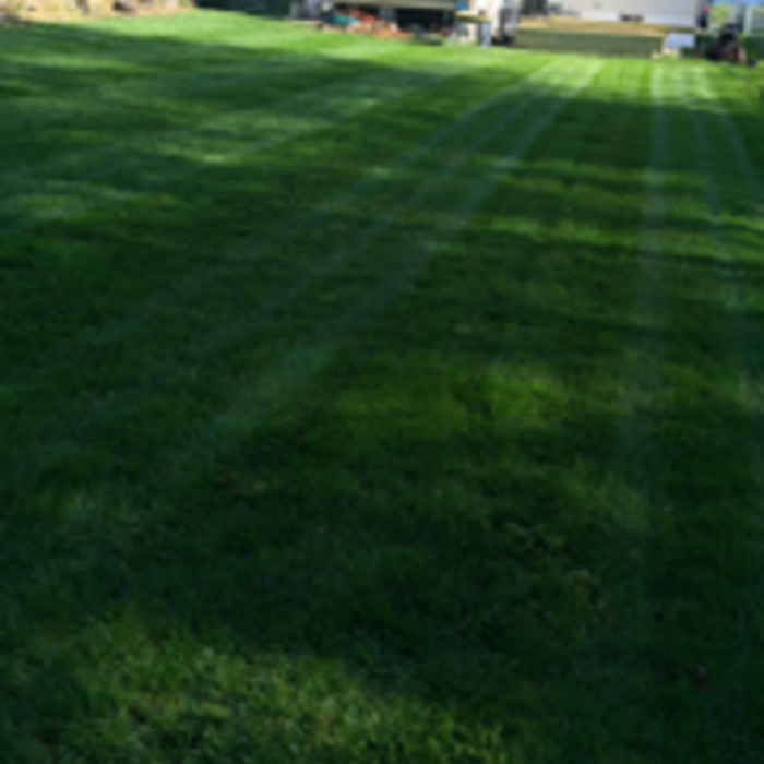 Our Work