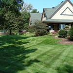 bioLawn Lawn