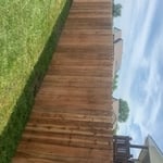 Cedar