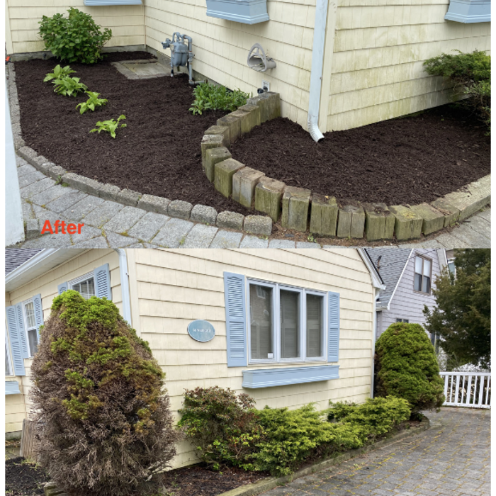 Spring Cleanup