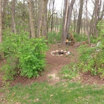 Spring clean up