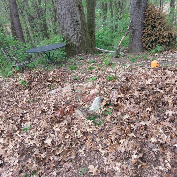 Spring Clean up