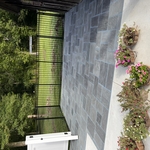 Natural Bluestone