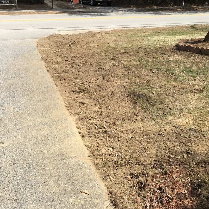 Front lawn after a hard winter Fixed