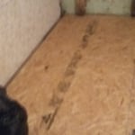 Bathroom remodel