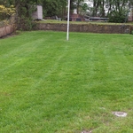 Finished Lawn