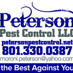 my logo