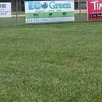 Little league baseball