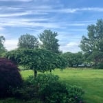 Satisfied Customers / Lawns