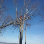 Storm Damage