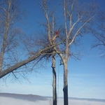 Storm Damage