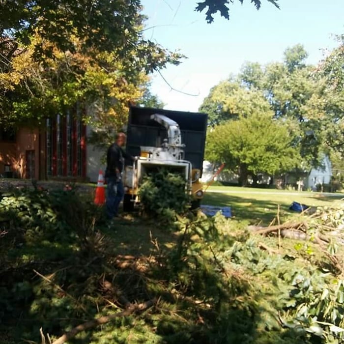 OUR WORK