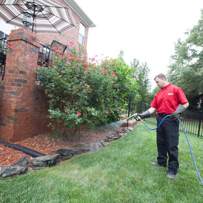 Exterior Perimeter Treatment