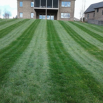 Mowing