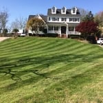 Mowing