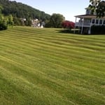Mowing