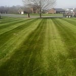 Mowing