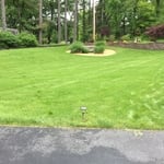 New lawn