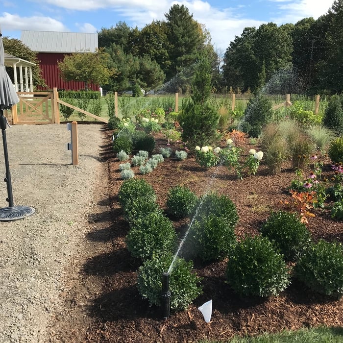 New flower bed