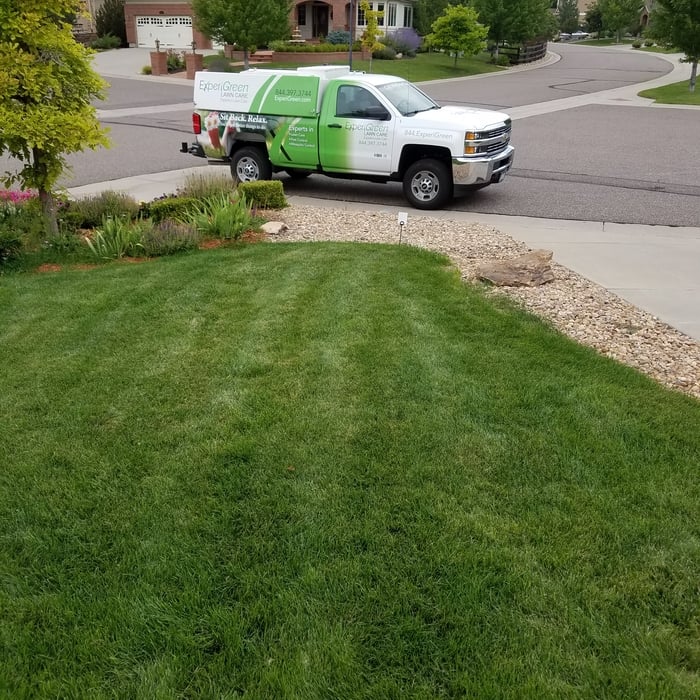 EG Lawn