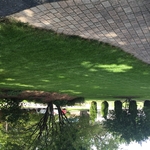 Mulch install