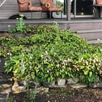 second bed