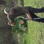 Tree work