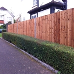 privacy fence