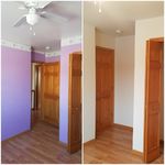 Painting / wallpaper removal