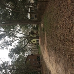 2017