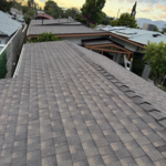 HDZ Aged Chestnut