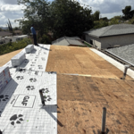 Shingle Roof