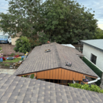 Shingle Roof