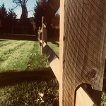 Property Surveys
