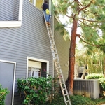 Window Cleaning
