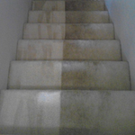 Carpet cleaning