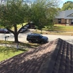 Roof of the day