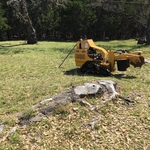 Stump and grinder before shot