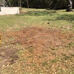 After shot
