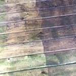 Sparta deck