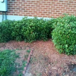 Our Work