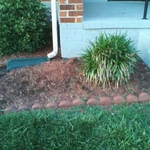 Our Work