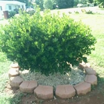 Our Work