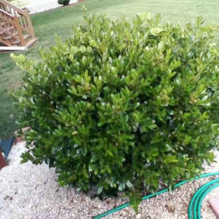 Our Work