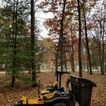 Yard Work