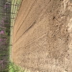 Ten acres we maintain